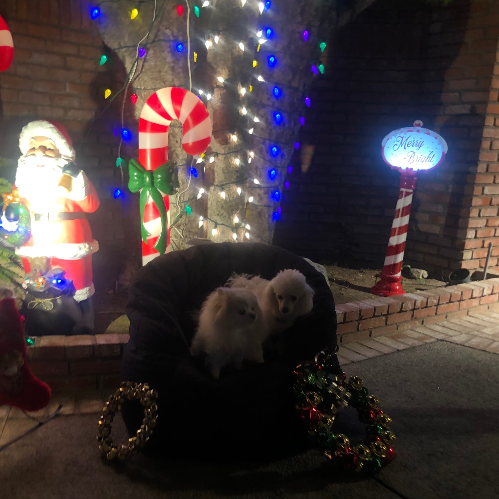 Meet your Posher, Jeanne